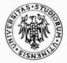 Universit degli studi di Udine